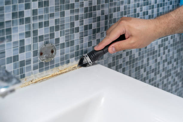 Best Mold Removal Process  in Buenaventura Lakes, FL