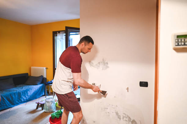 Best Mold Remediation Services  in Buenaventura Lakes, FL