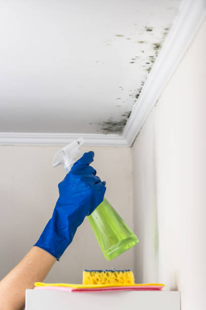 Best Crawl Space Mold Removal  in Buenaventura Lakes, FL